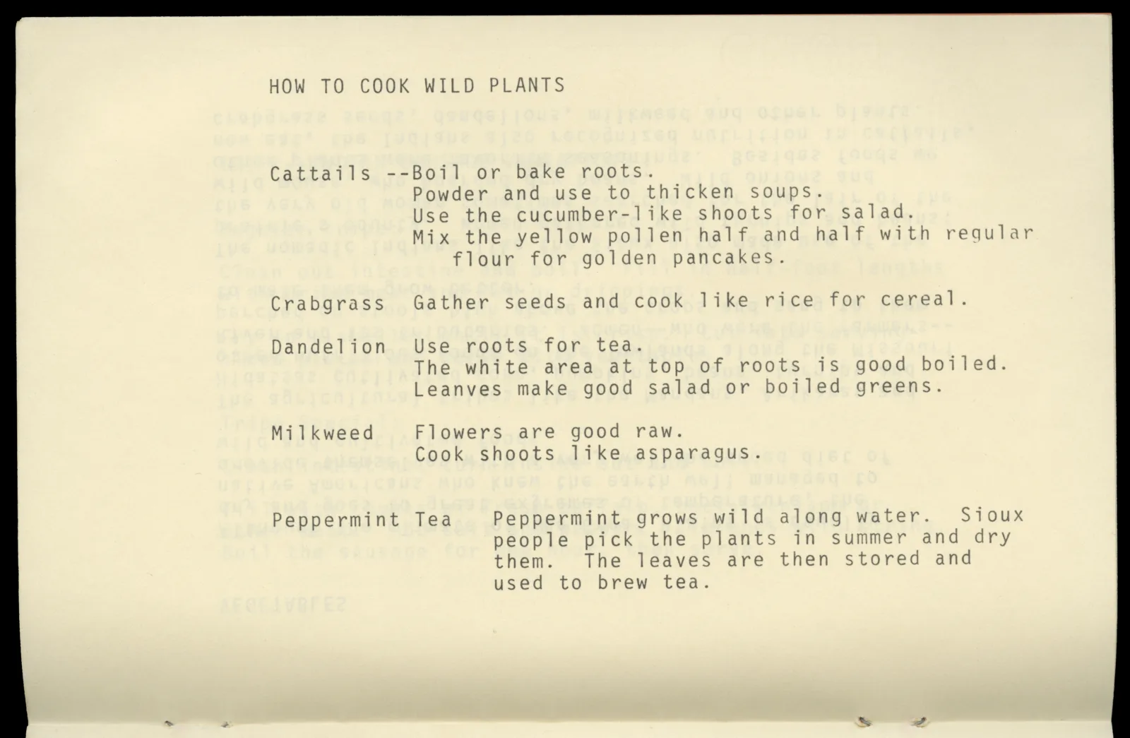 Recipes of the Plains Indians, page 8 Typed text that reads: "How to cook wild plants. Cattails--boil or bake roots. Powder and use to thicken soups. Use the cucumber-like shoots for salad. Mix the yellow pollen half and half with regular flour for golden pancakes. Crabgrass--gather seeds and cook like rice for cereal. Dandelion--use roots for tea. The white area at top of roots is good boiled. Leaves make good salad or boiled greens. Milkweed--Flowers are good raw. Cook shoots like asparagus. Peppermint tea--peppermint grows wild along water. Sioux people pick the plants in summer and dry them. The leaves are then stored and used to brew tea."